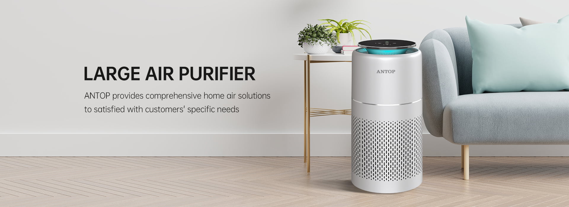 Large Air Purifier Category