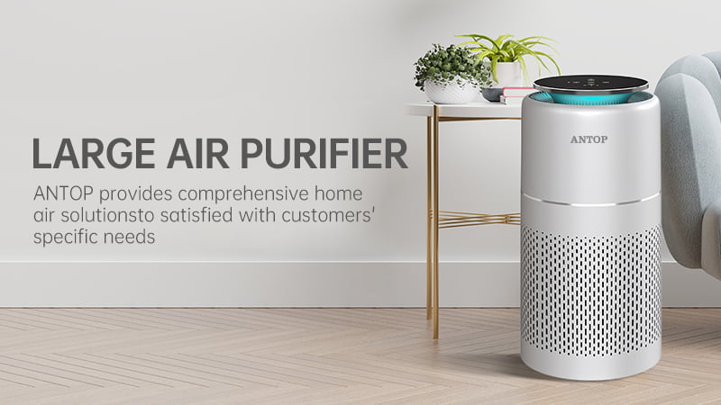 Large Air Purifier Category