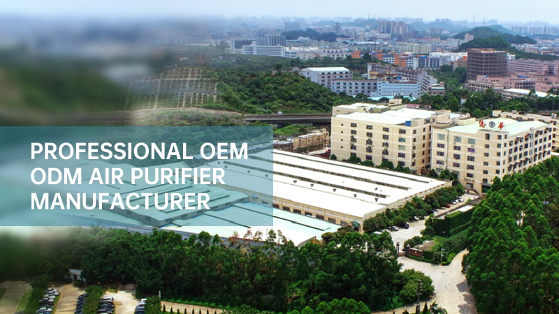 Professional OEM ODM Air Purifier Manufacturer