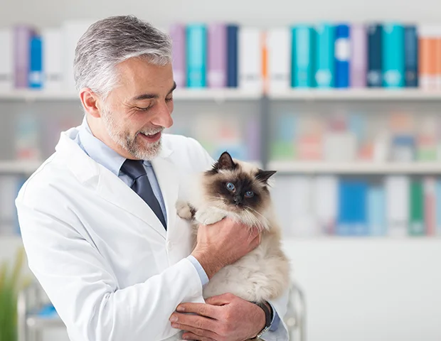 Pet Clinic