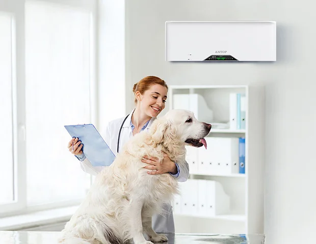 Pet Clinic