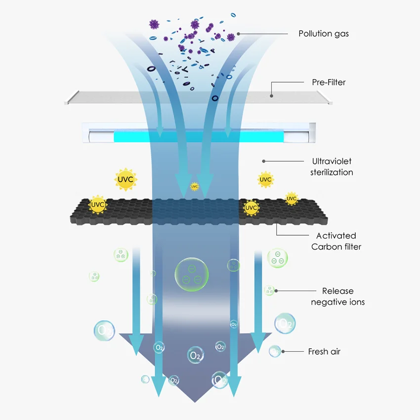 Purification System
