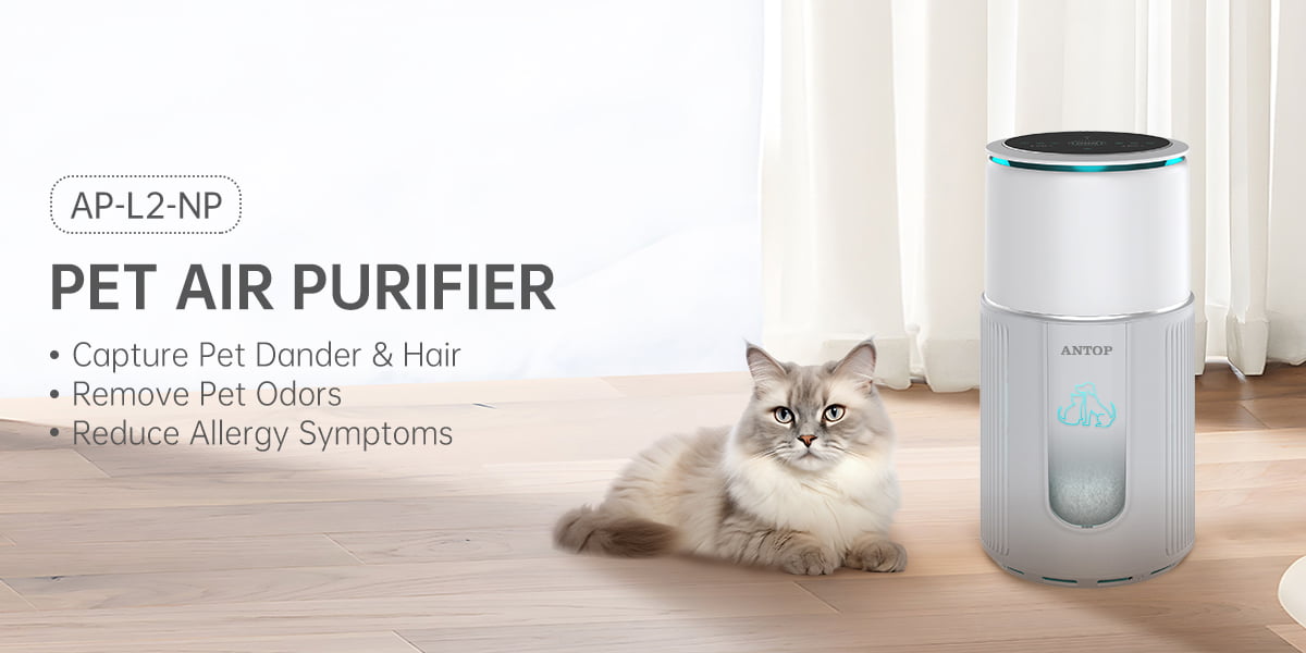 Buying an air purifier for your pet