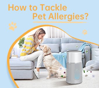 How to Tackle Pet Allergies?