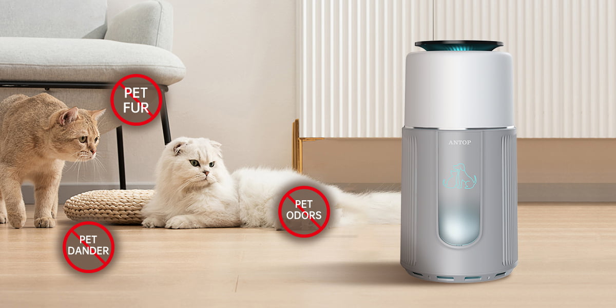 Why do pet raising families need air purifier？