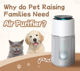Why do pet raising families need air purifier？