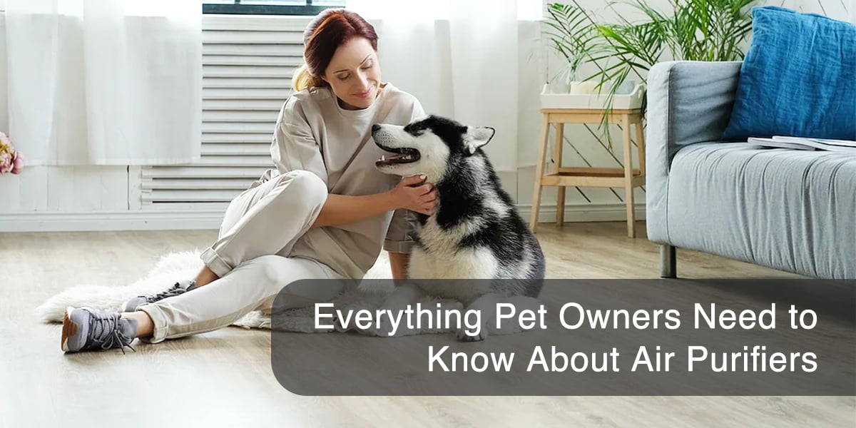 Everything Pet Owners Need to Know About Air Purifiers