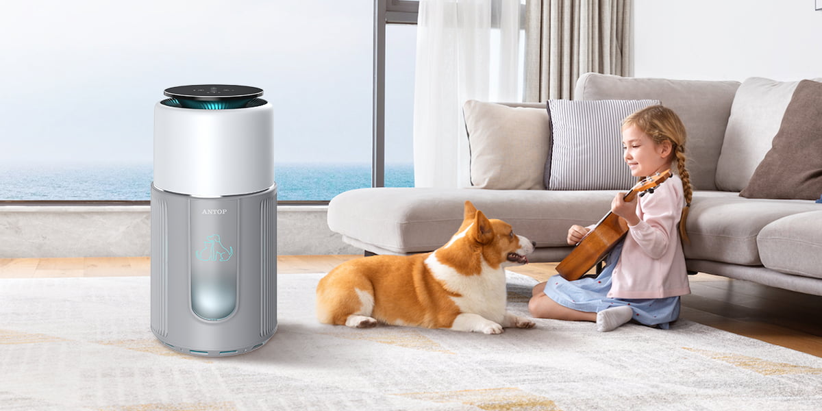 Everything Pet Owners Need to Know About Air Purifiers