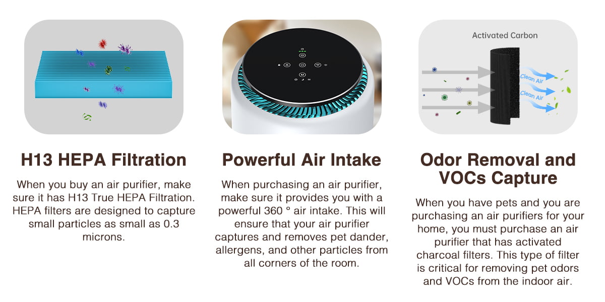 Everything Pet Owners Need to Know About Air Purifiers