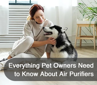 Everything Pet Owners Need to Know About Air Purifiers