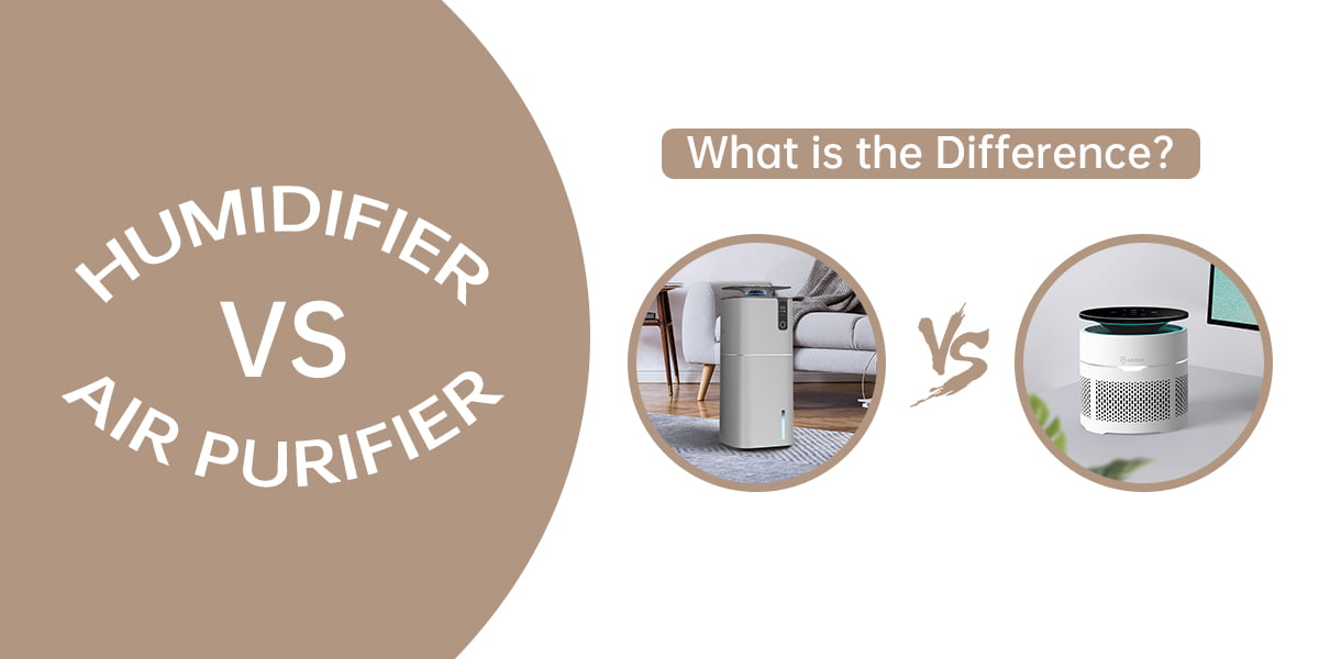 Humidifier vs Air Purifier What Is The Difference