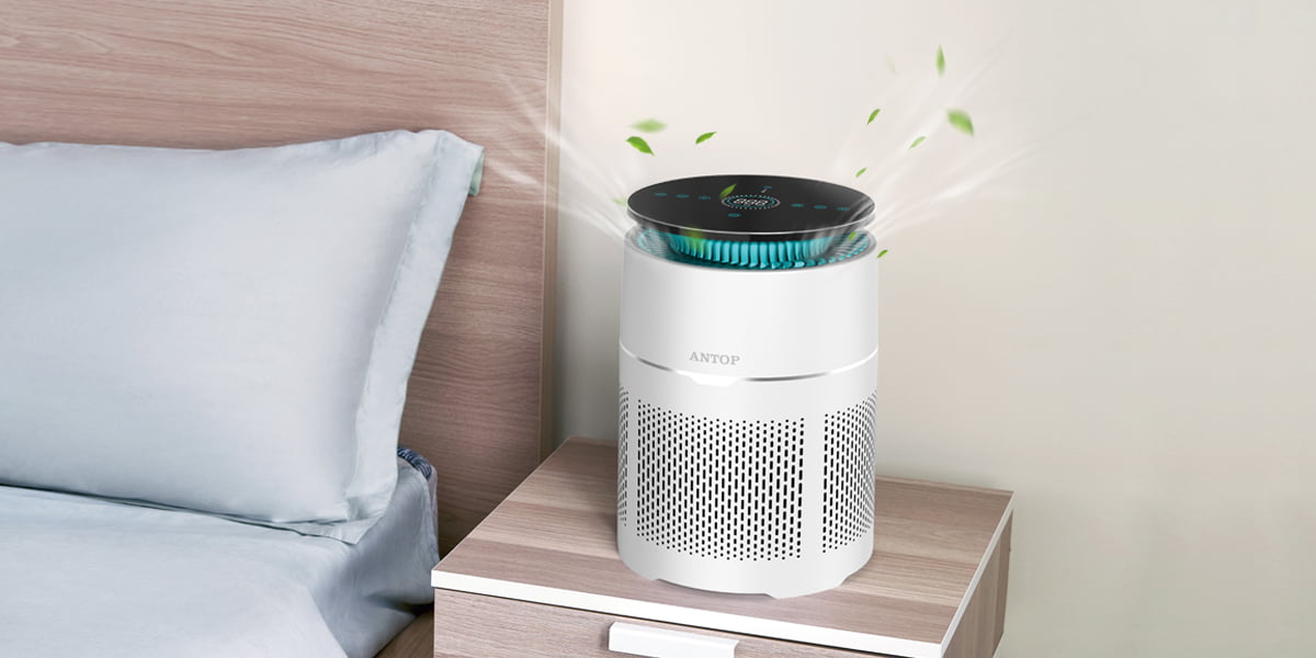 Humidifier vs Air Purifier What Is The Difference