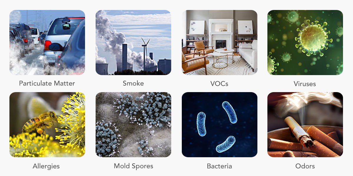Surprising Health Benefits of Air Purifiers