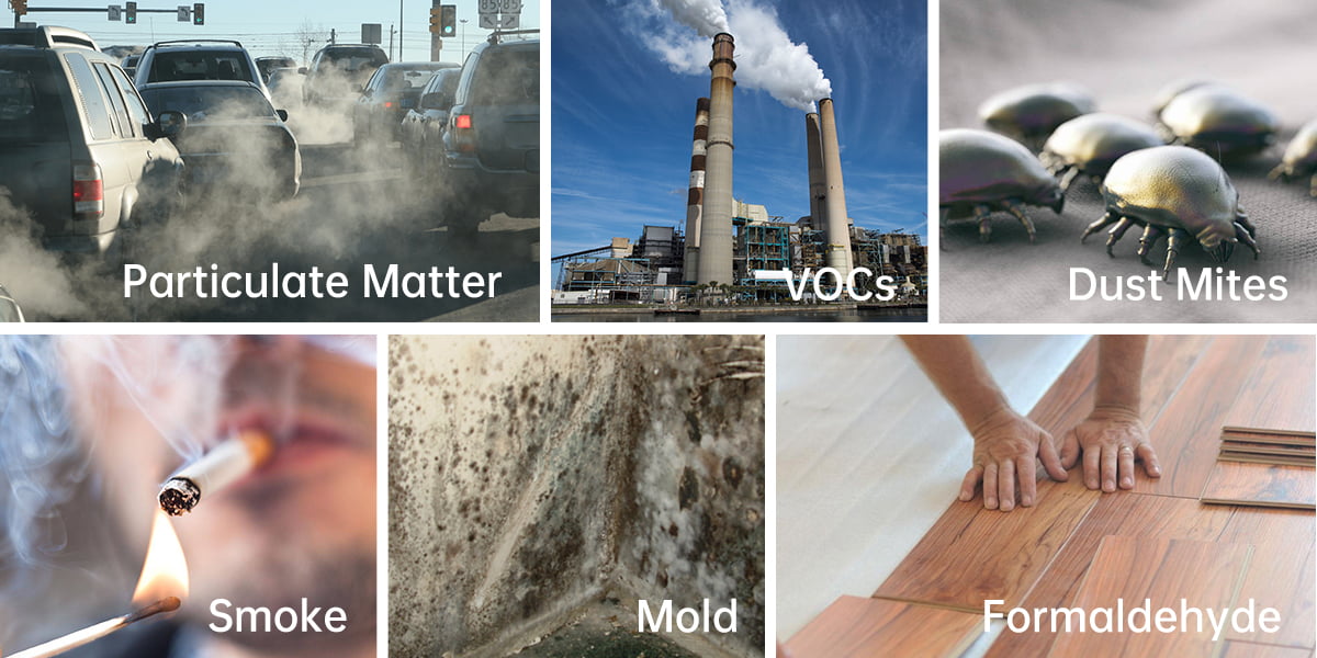 The Most Common Air Pollutants and How to Remove Them with Air Purifiers