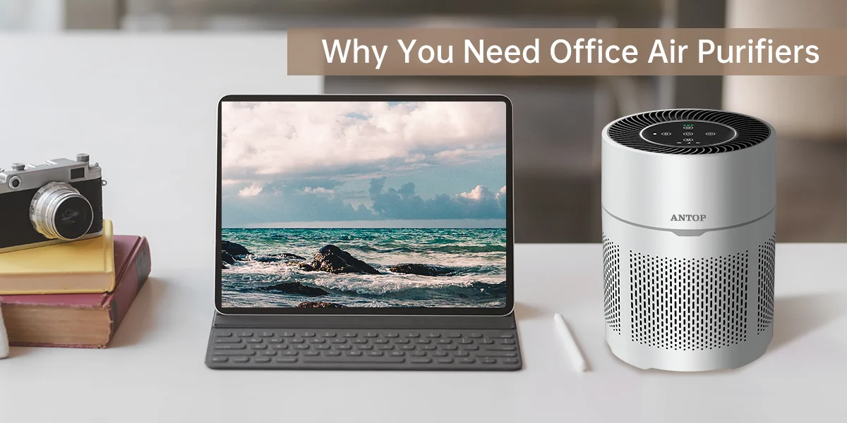 Why You Need Office Air Purifiers