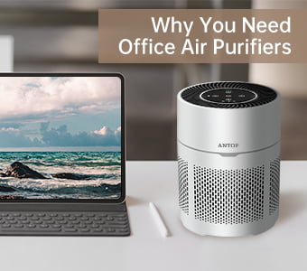 Why You Need Office Air Purifiers