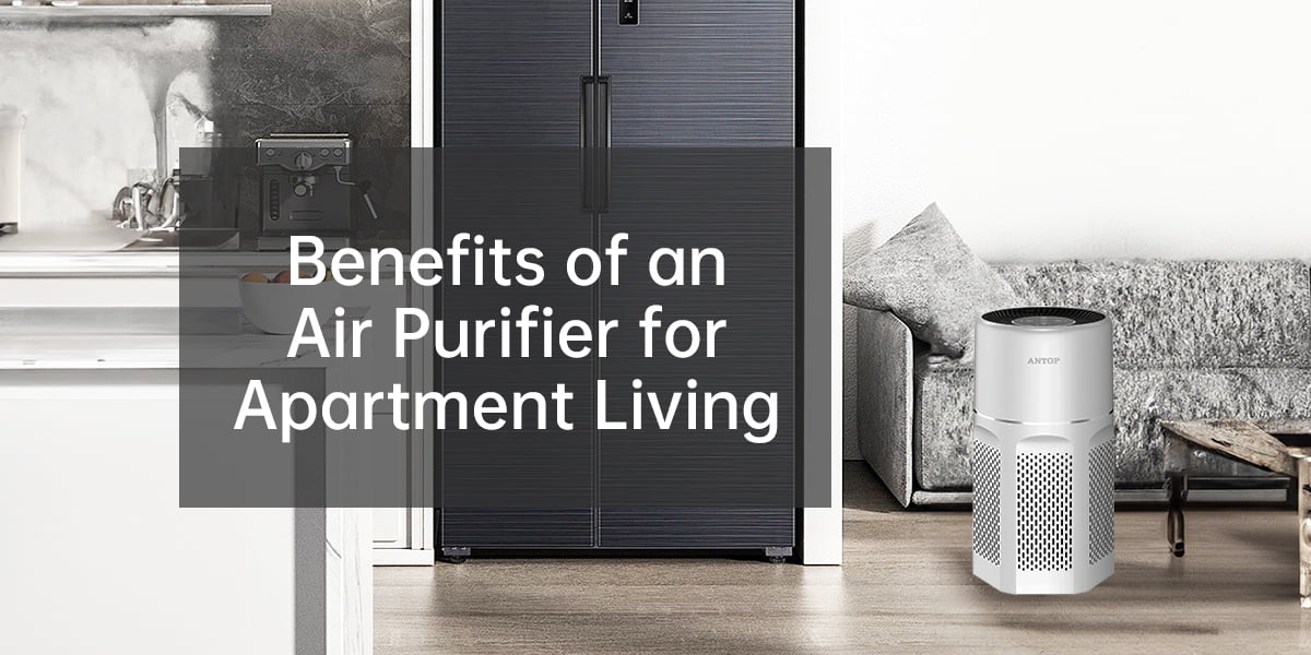 Benefits of an Air Purifier for Apartment Living