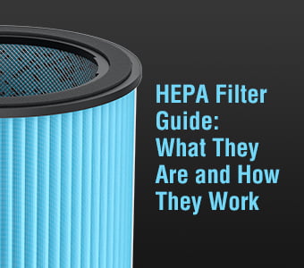 HEPA Filter Guide: What They Are and How They Work