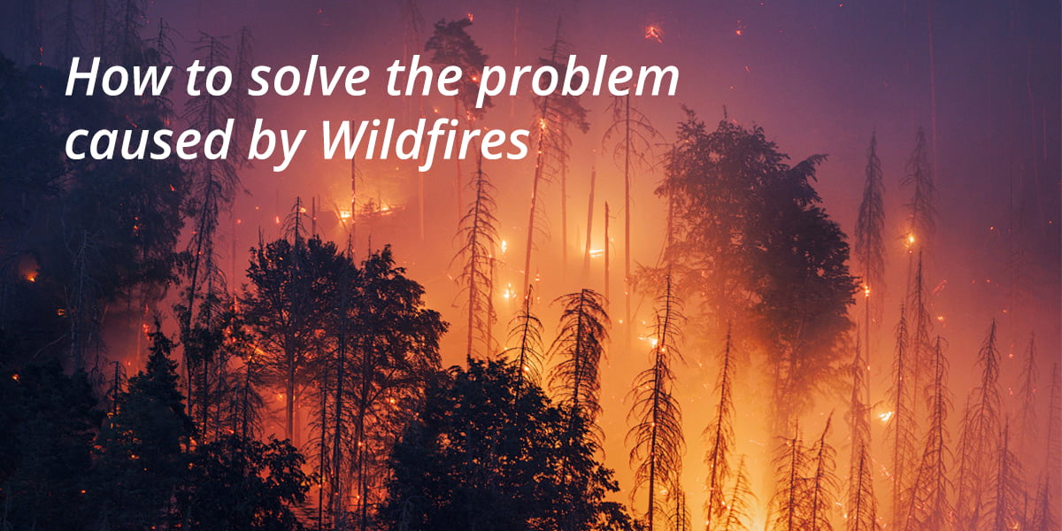 How to solve the problem caused by Wildfires?