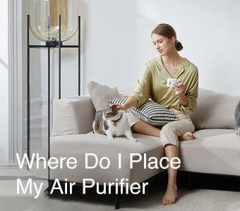 Where Do I Place My Air Purifier?