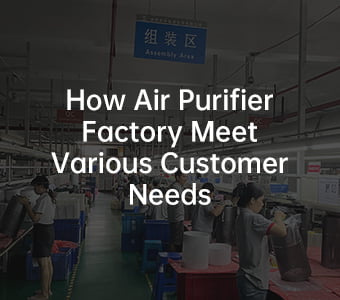 How Air Purifier Factory Meet Various Customer Needs