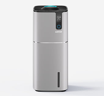 Large Air Purifier