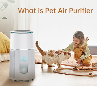 What is Pet Air Purifier?