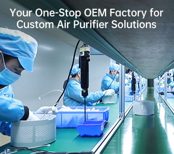 Your One-Stop OEM Factory for Custom Air Purifier Solutions