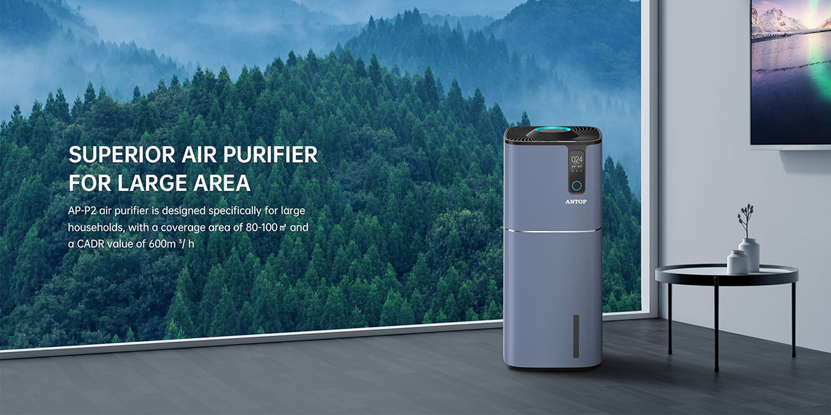 Large Air Purifier AP-P2