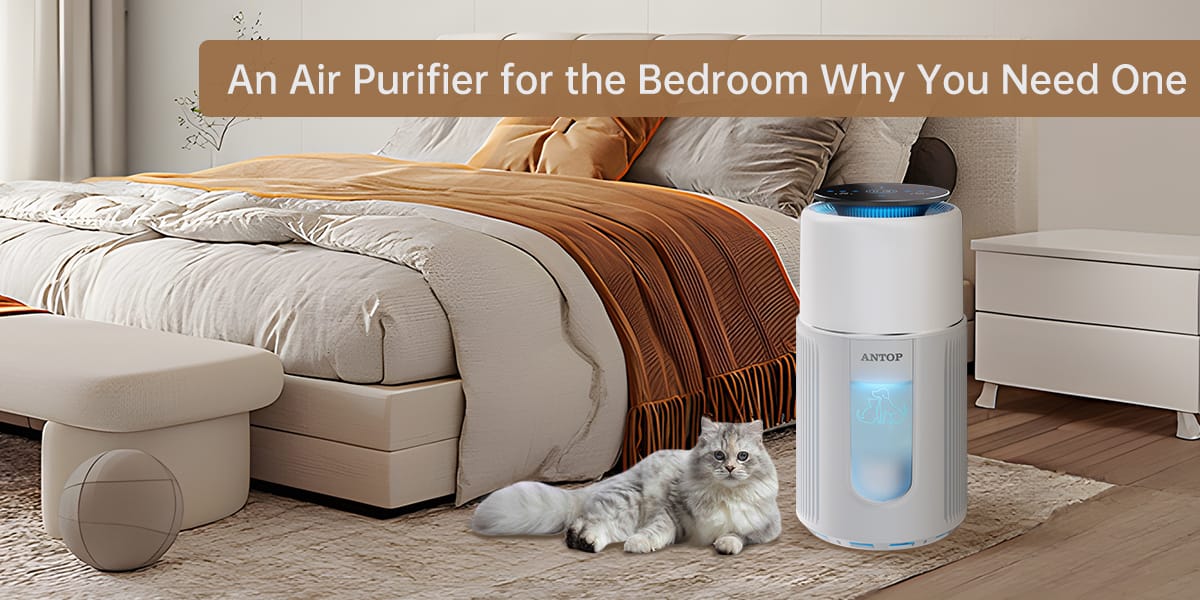 An Air Purifier for the Bedroom Why You Need One