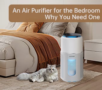 An Air Purifier for the Bedroom Why You Need One