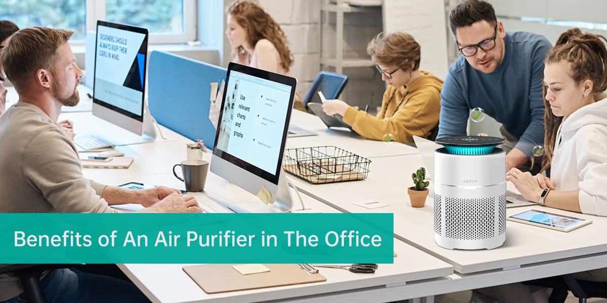 Benefits of An Air Purifier in The Office