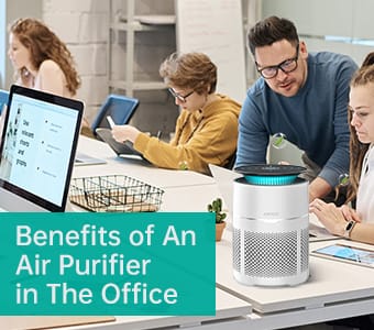 Benefits of An Air Purifier in The Office