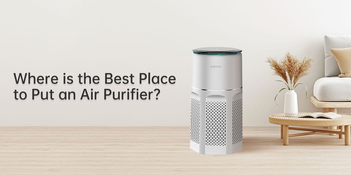 Where is the Best Place to Put an Air Purifier?