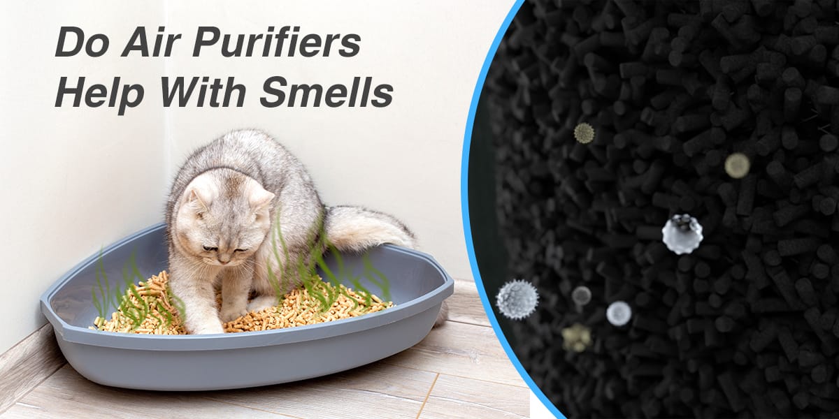 Do Air Purifiers Help With Smell