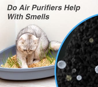 Do Air Purifiers Help With Smell