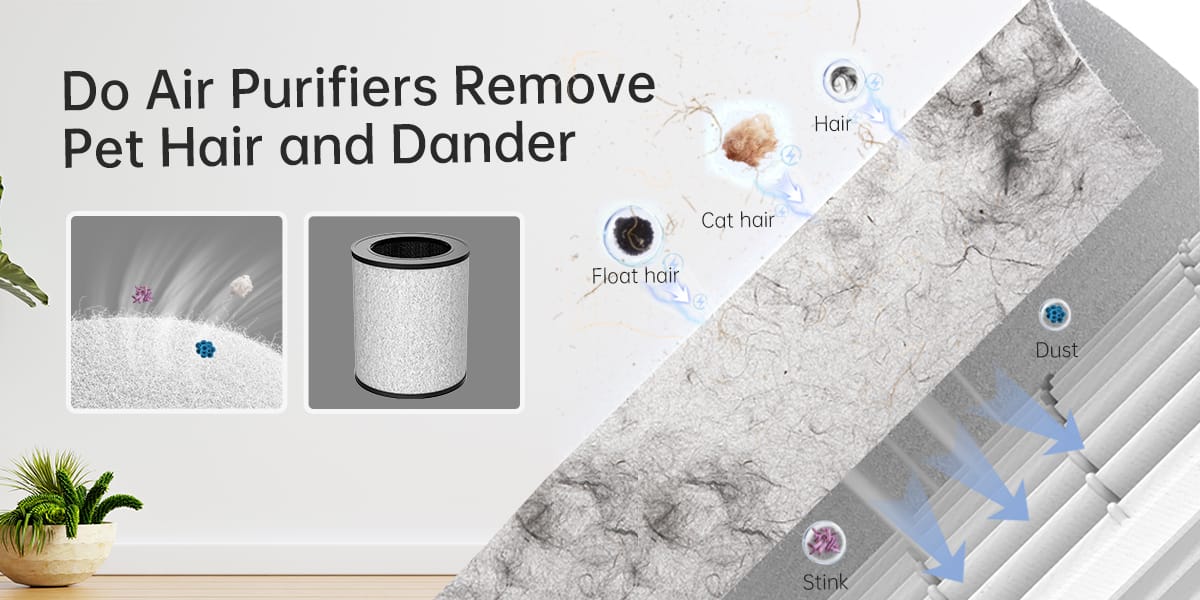 Do Air Purifiers Remove Pet Hair and Dander?