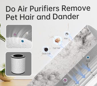 Do Air Purifiers Remove Pet Hair and Dander?