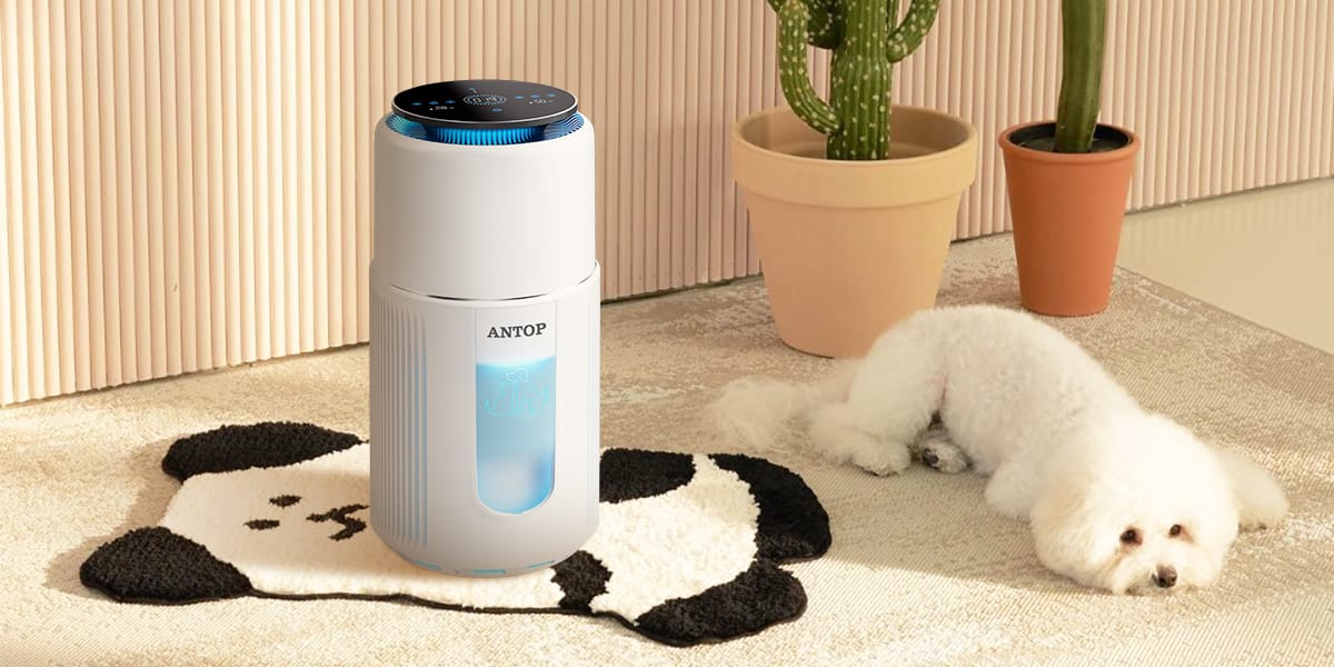 Do Air Purifiers Remove Pet Hair and Dander?