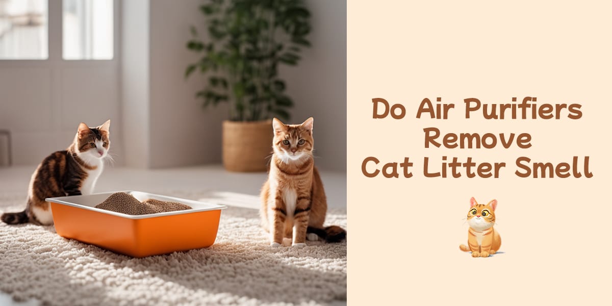 Do Air Purifiers Remove Cat Litter Smell