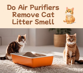 Do Pet Air Purifiers Remove Cat Litter Smell