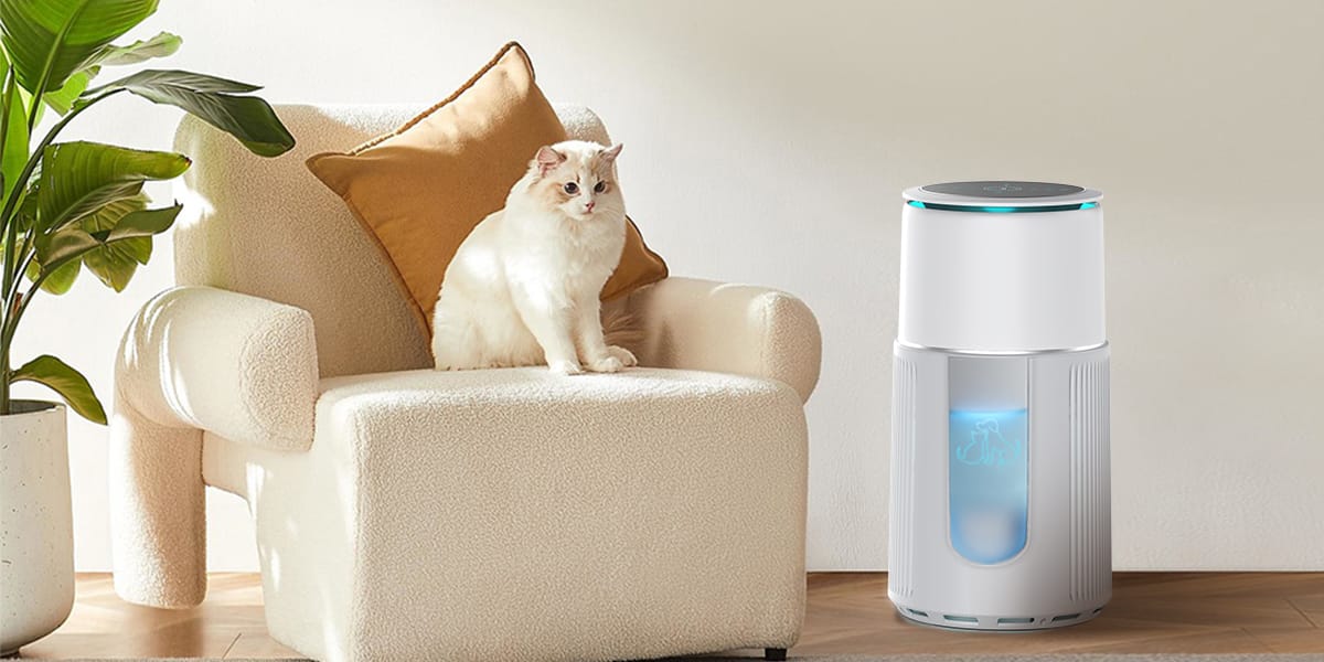 Do Air Purifiers Remove Cat Litter Smell