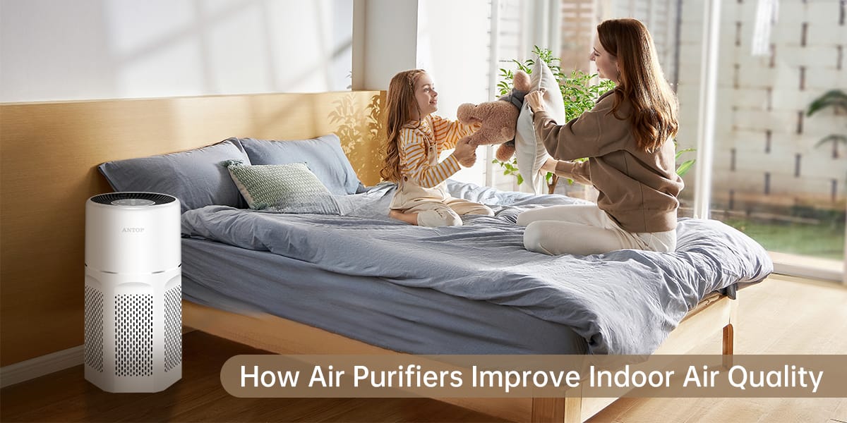 How Air Purifiers Improve Indoor Air Quality