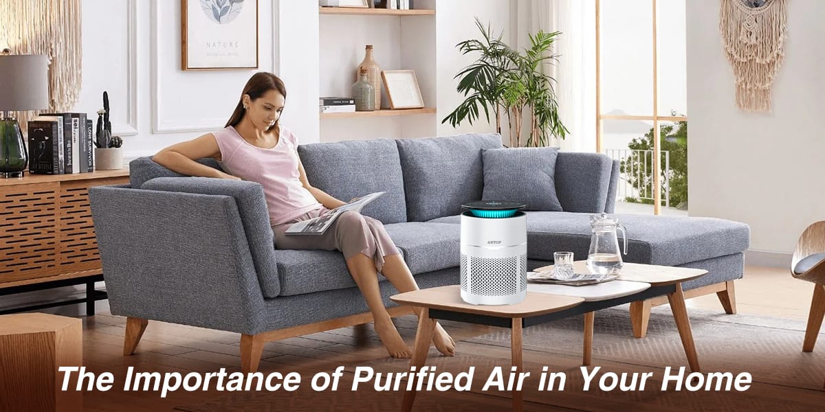 The Importance of Purified Air in Your Home