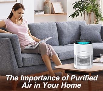 The Importance of Purified Air in Your Home