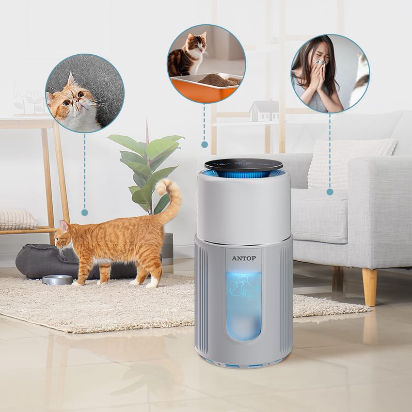 Improve Your Air Quality with Ease