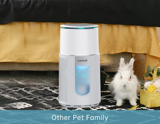 the best air purifier for pets