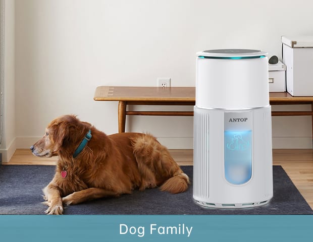 dog air purifier