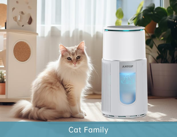 cat air purifier