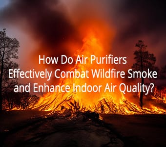 How Do Air Purifiers Effectively Combat Wildfire Smoke and Enhance Indoor Air Quality?